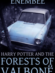 Harry Potter and the Forests of Valbonë by Enembee